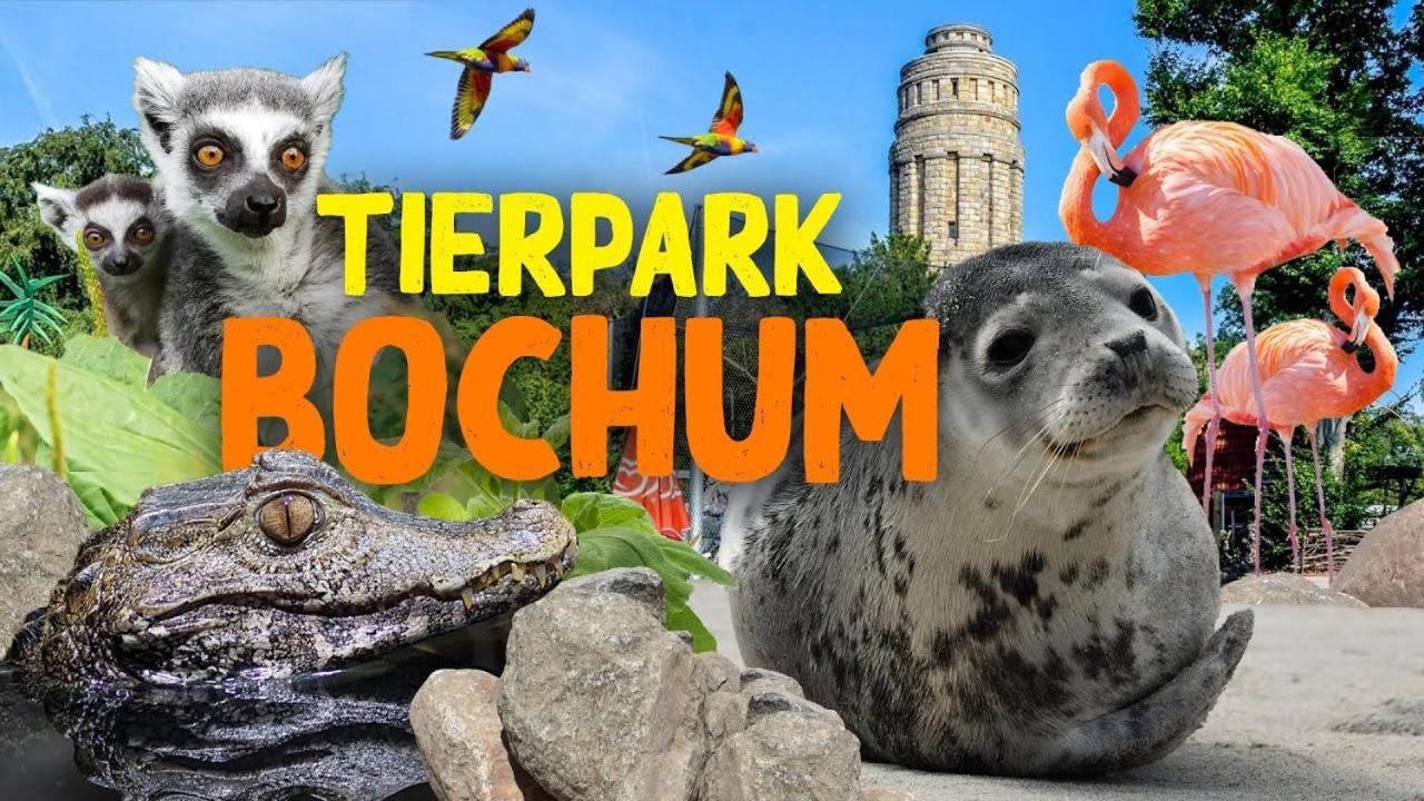 Homestay Bochum Kültér fotó